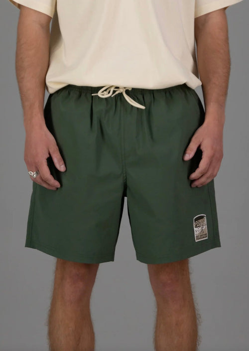 Coastal Cast Volley Shorts Green