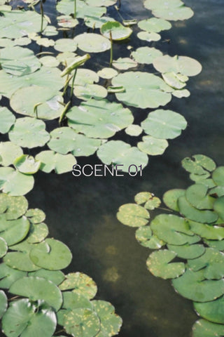 Abel Scene 03 Room Spray 100ml