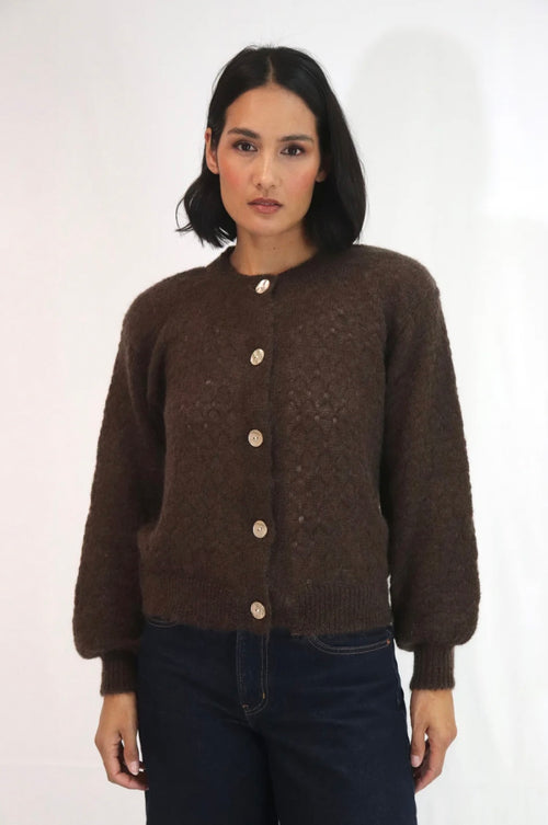 Asta Cardi Chocolate