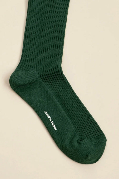 Cotton 2x2 Rib Socks Dark Green