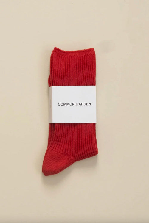 Cotton 2x2 Rib Socks Rust