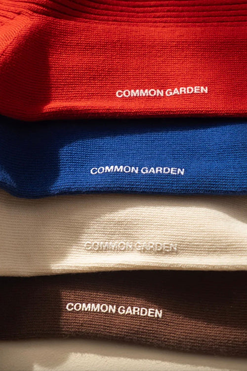 Cotton 2x2 Rib Socks Cream