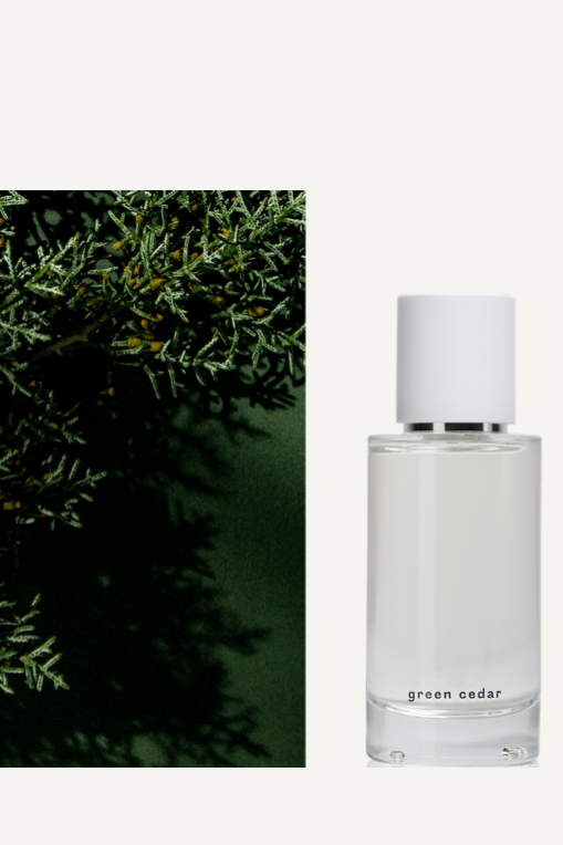 ABEL Perfume Green Cedar | ATAMIRA – Atamira ABEL Perfume Green Cedar | ATAMIRA – Atamira