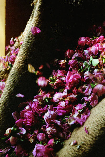 Smoking Rose Scented Oil
